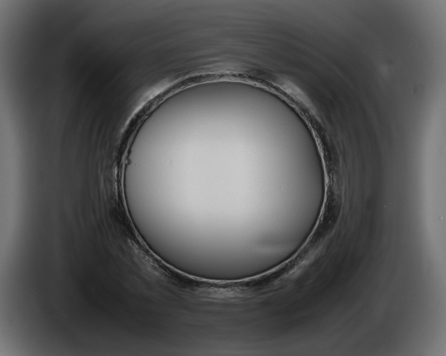 X0000086340781200704131742