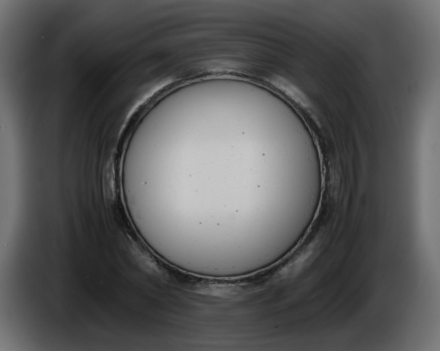 X0000086340782200704131742
