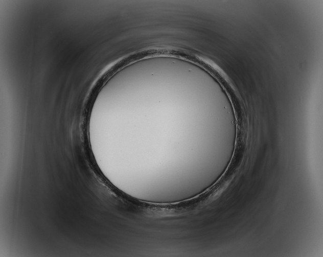 X0000086340783200704131742