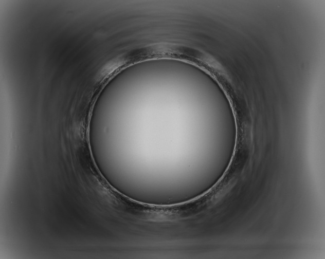 X0000086340785200704131742