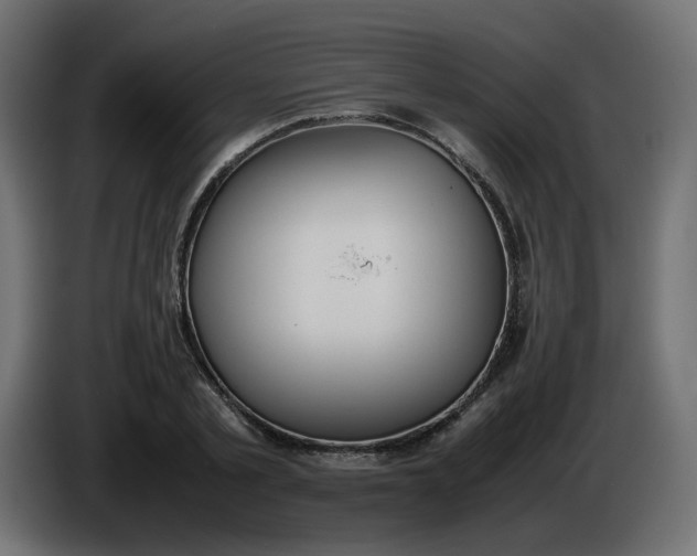 X0000086340789200704131742
