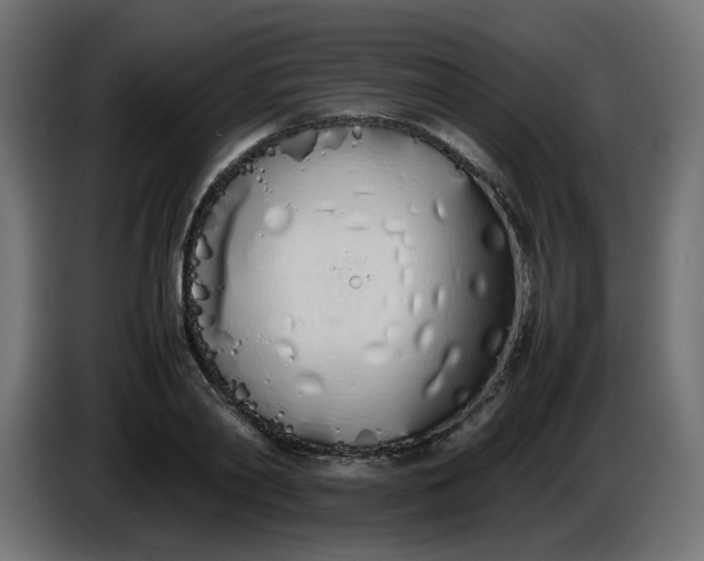 X0000086340790200704131742