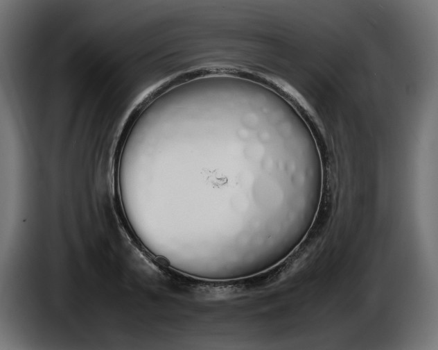 X0000086340791200704131742
