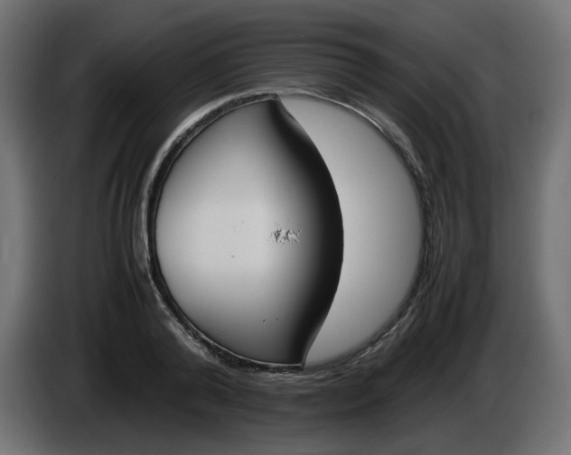 X0000086340792200704131742