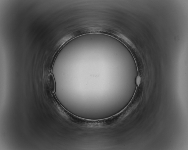 X0000086340793200704131742
