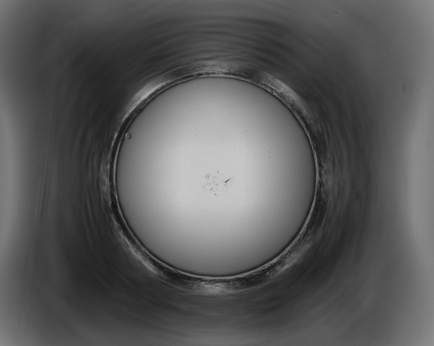 X0000086340794200704131742
