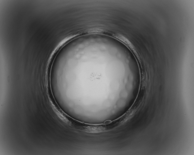 X0000086340795200704131742