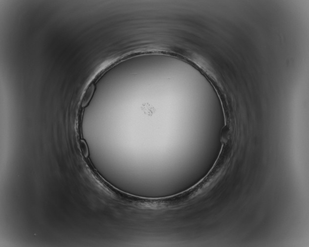 X0000086340797200704131742
