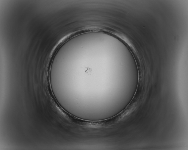 X0000086340799200704131742