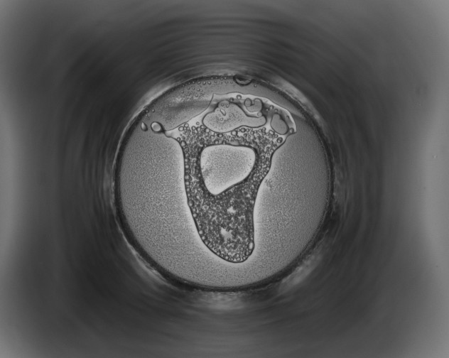 X0000086340802200704131742