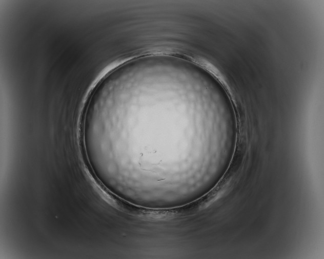 X0000086340803200704131742