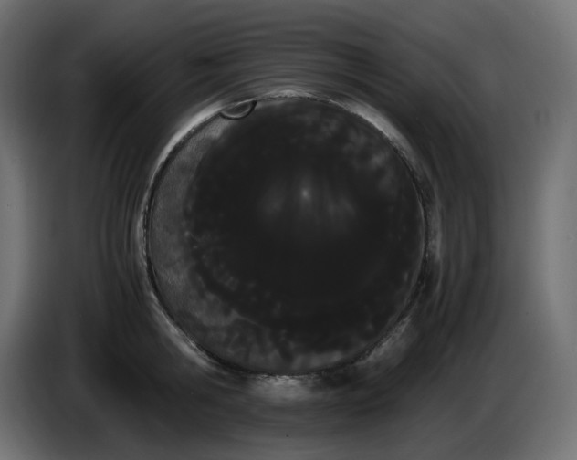 X0000086340806200704131742