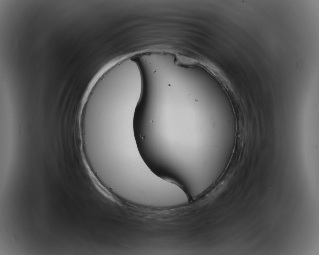 X0000086340808200704131742