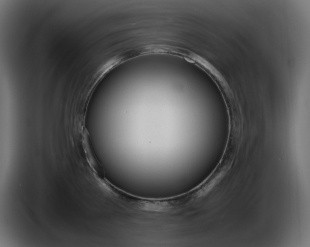 X0000086340809200704131742