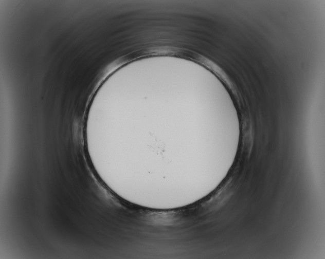 X0000086340810200704131742