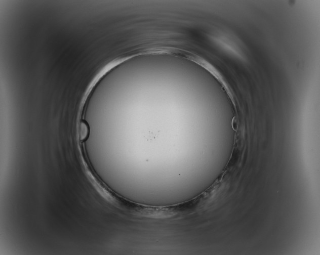 X0000086340811200704131742