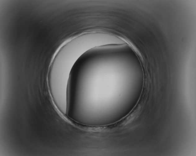 X0000086340813200704131742