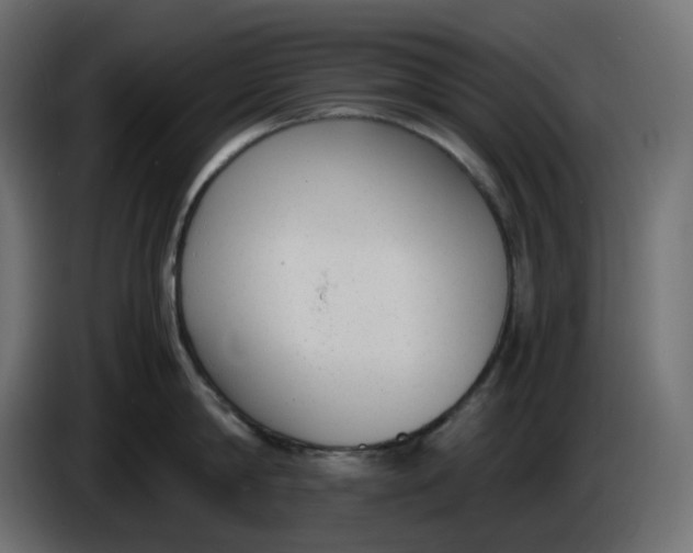 X0000086340814200704131742