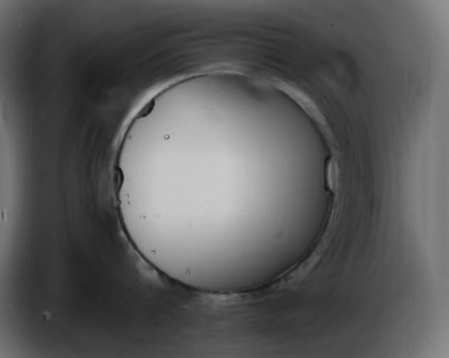 X0000086340816200704131742