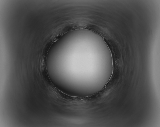 X0000086340818200704131741