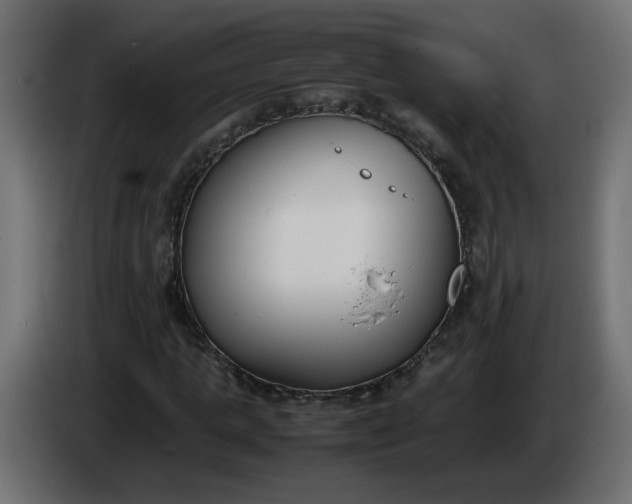 X0000086340821200704131741