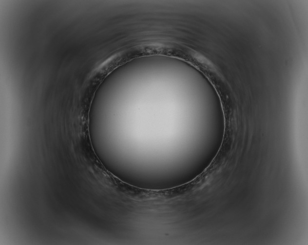 X0000086340822200704131741