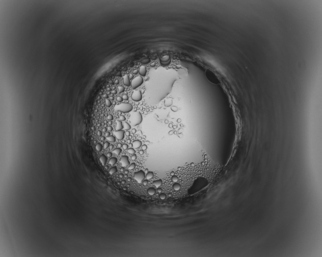 X0000086340823200704131741