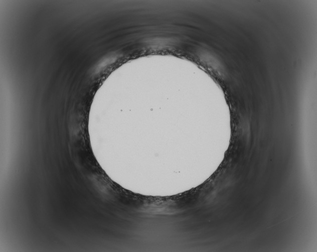 X0000086340824200704131741