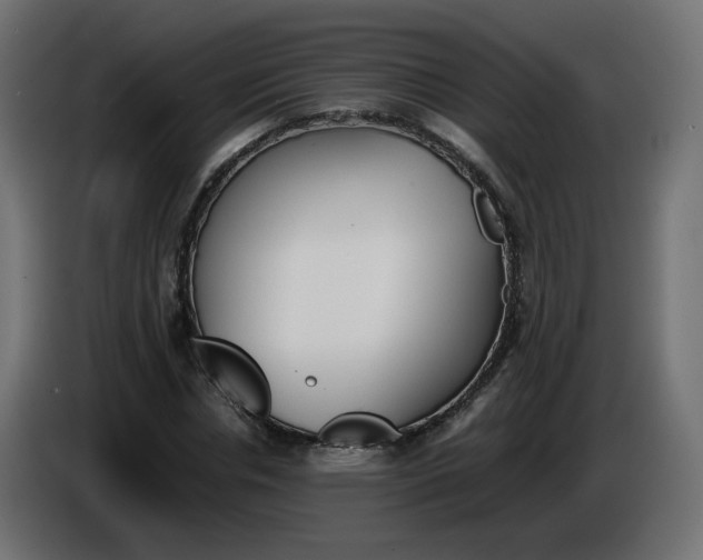 X0000086340826200704131741