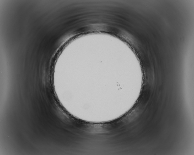 X0000086340828200704131741