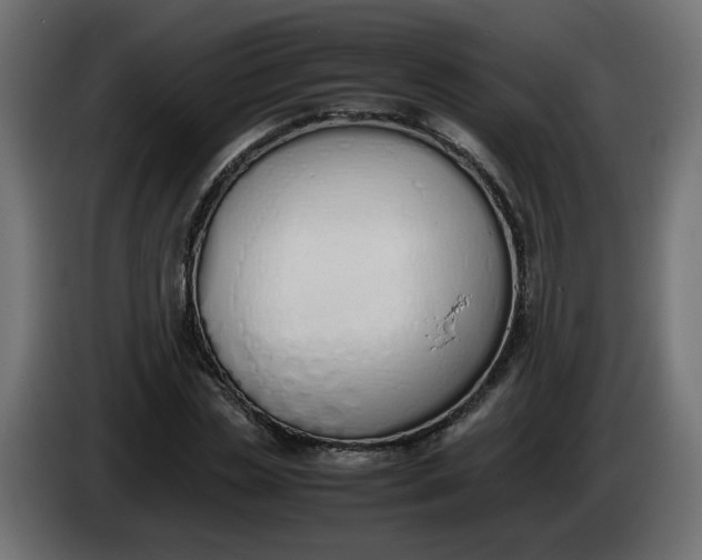 X0000086340829200704131741