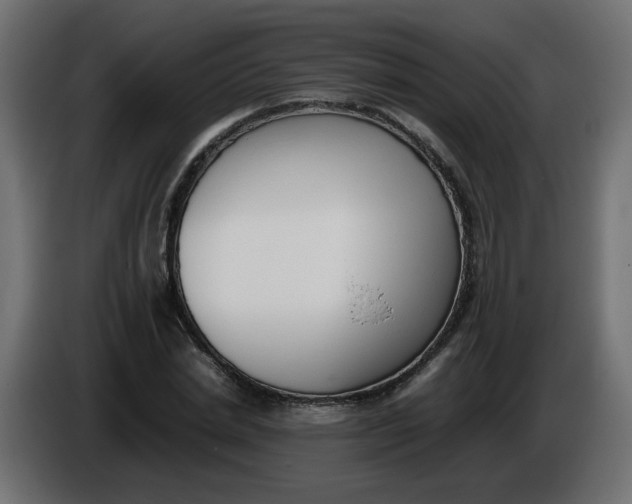 X0000086340830200704131741