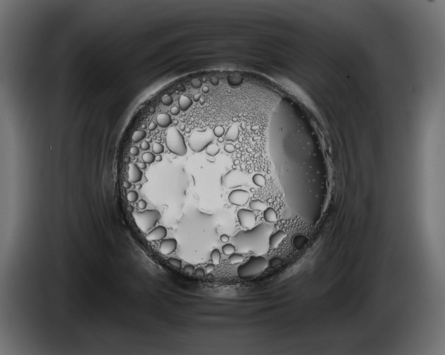 X0000086340831200704131741