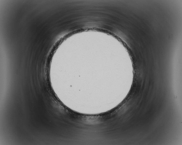 X0000086340832200704131741