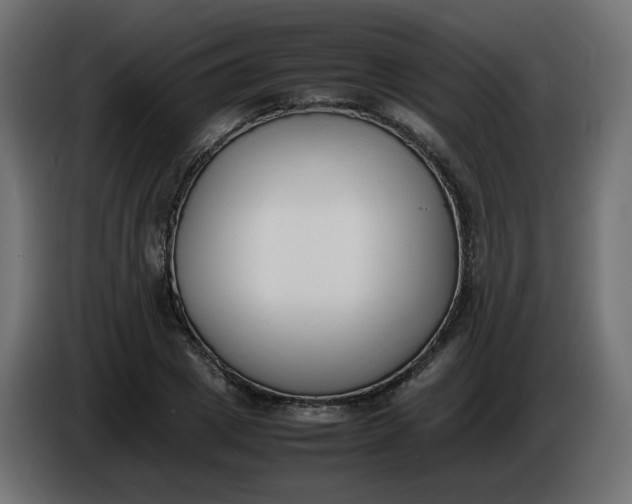 X0000086340833200704131741