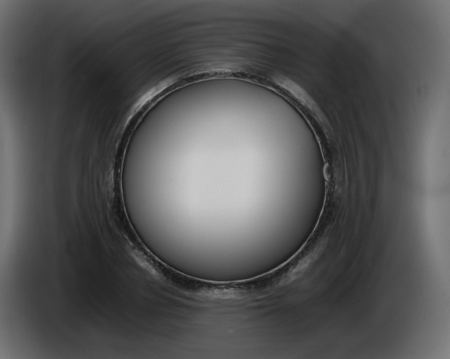 X0000086340834200704131741