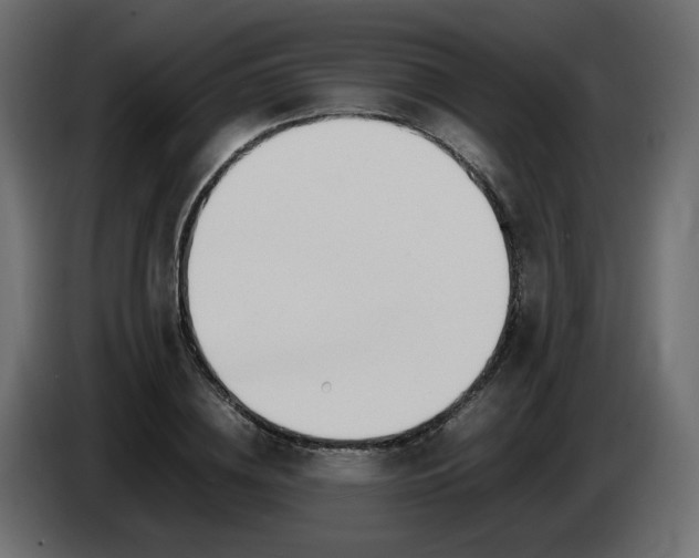 X0000086340836200704131741