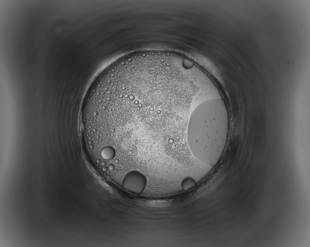 X0000086340839200704131741