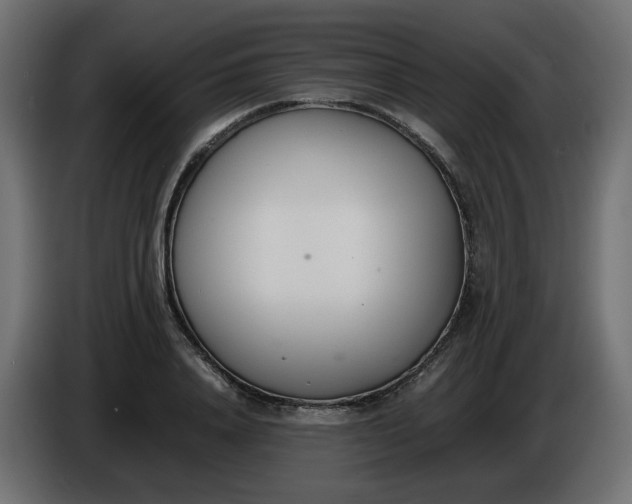 X0000086340840200704131742