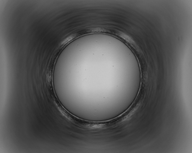 X0000086340841200704131742
