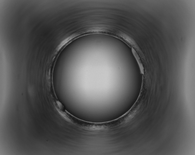 X0000086340842200704131742