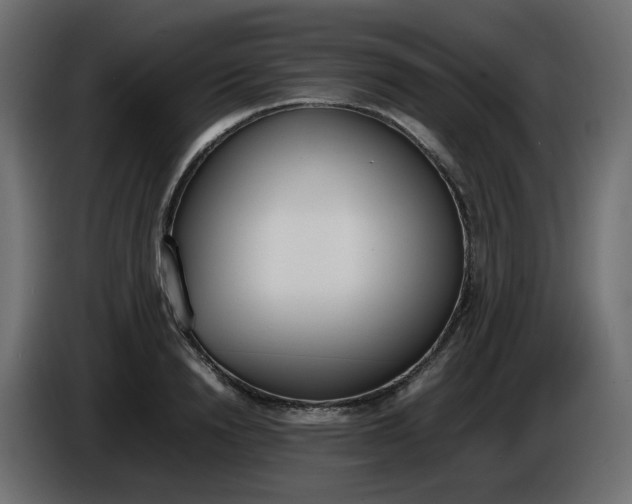 X0000086340846200704131742