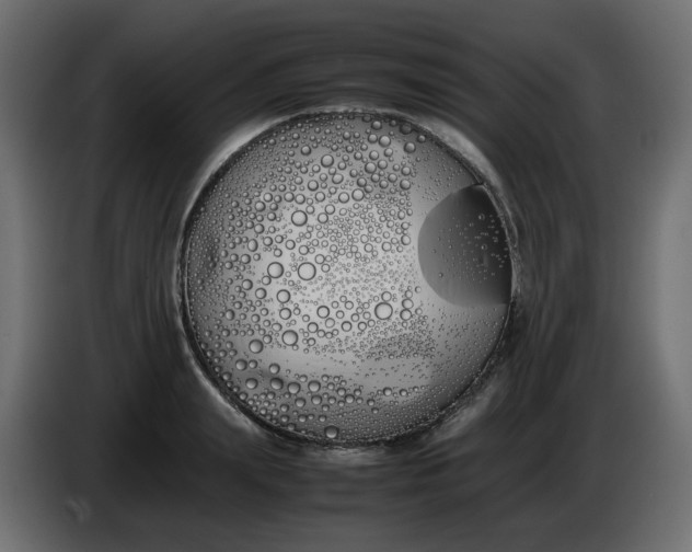 X0000086340847200704131742