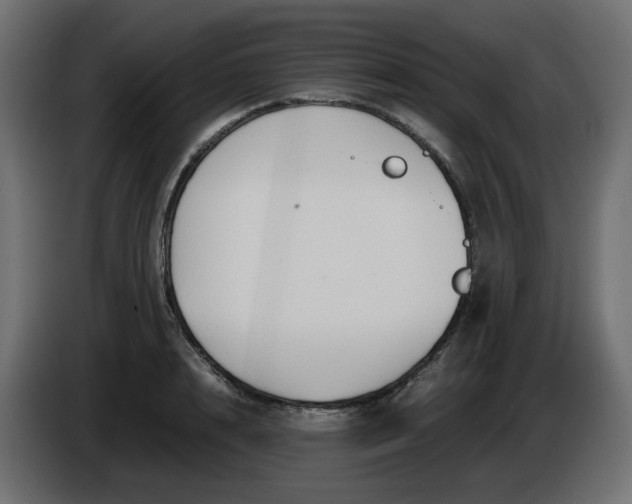 X0000086340848200704131742