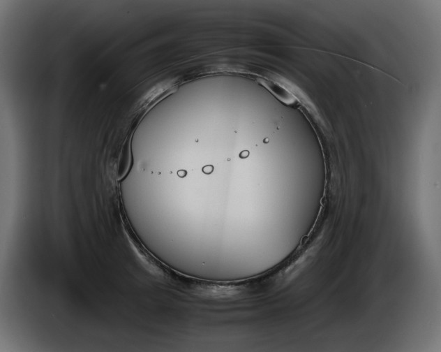 X0000086340849200704131742