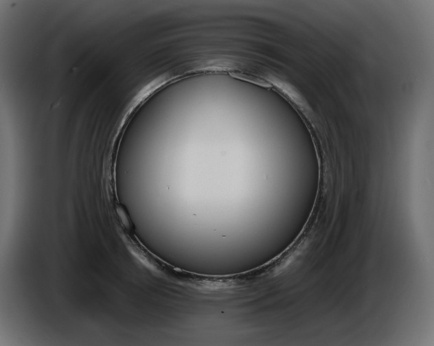 X0000086340850200704131742