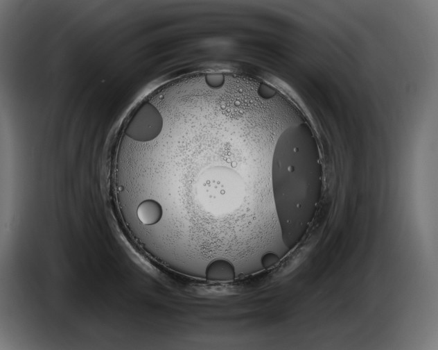 X0000086340851200704131742