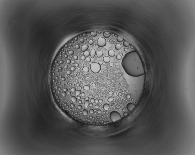 X0000086340855200704131742