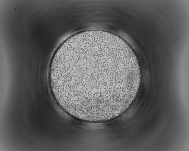 X0000086340856200704131742