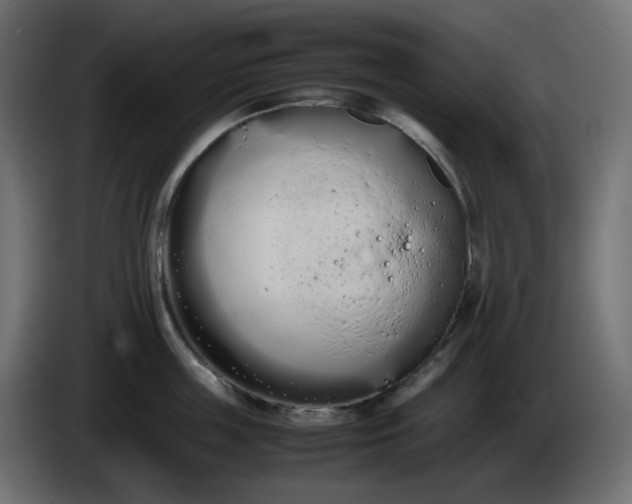 X0000086340859200704131742